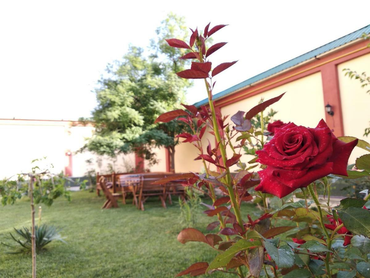 Chinor Garden Hotel - Free Airport Pick-Up And Drop-Off Ташкент Экстерьер фото